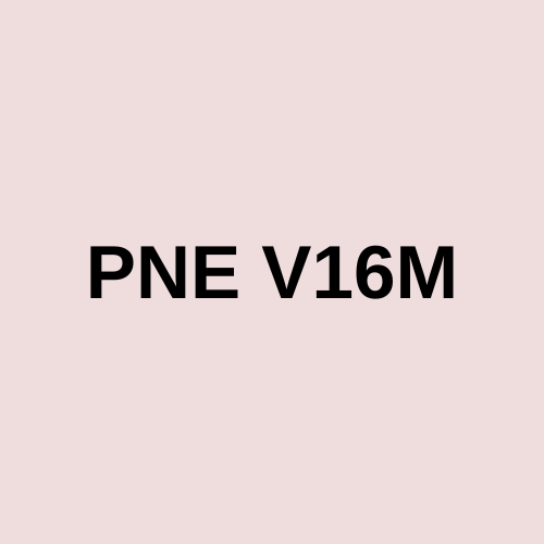 PNE V16M